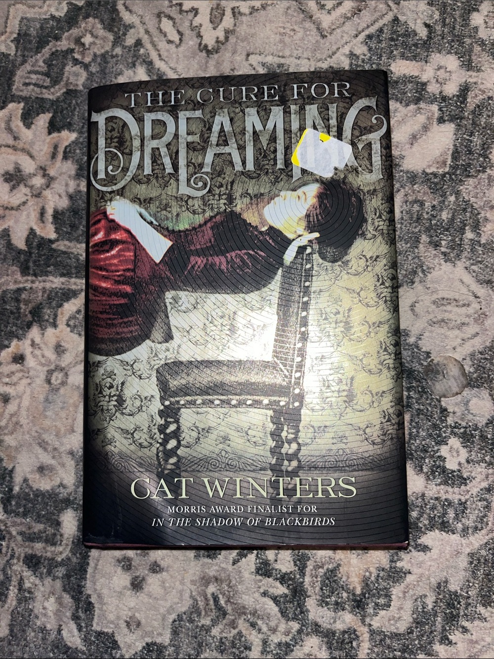 The cure for dreaming hard cover book